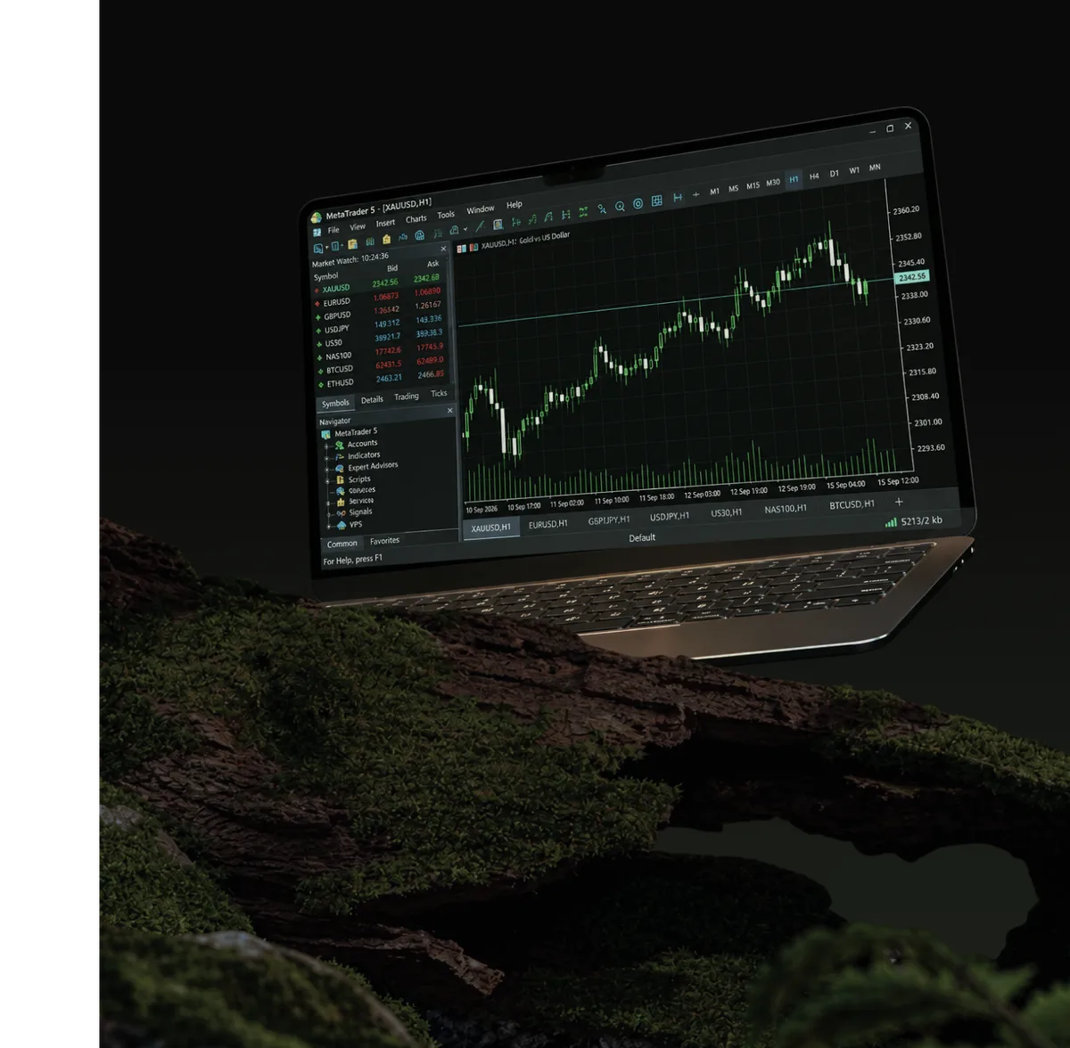 MetaTrader 5 on a laptop
